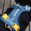 GULA DOG CARE Koiran valjaat, sininen & keltainen Koiran ulkoilu
