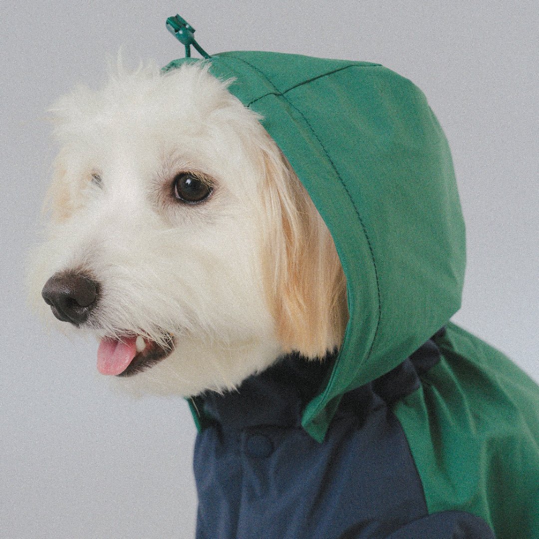 CushyCushy All - weather - koiran sadetakki, sinivihreä