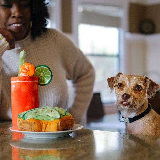 P.L.A.Y. Avo - doggo Toast - koiran lelu