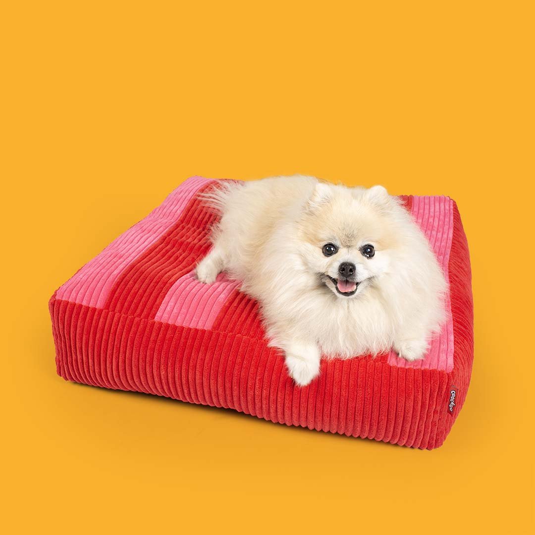 Coockoo Cozy Stripe - peti, punainen