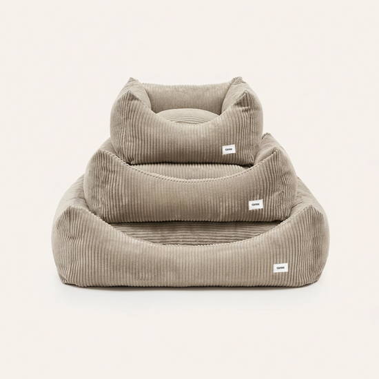 CAFIDE Snozy-peti, beige vakosametti Koiran peti