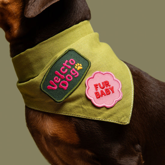 Scout's Honour Fur Baby - silitettävä kangasmerkki lemmikille