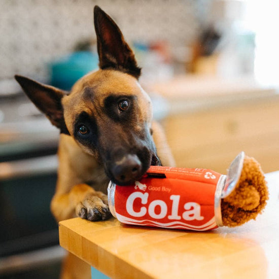 P.L.A.Y. Good Boy Cola - koiran lelu