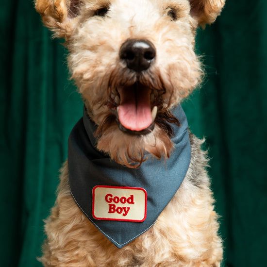 Scout's Honour Good Boy - silitettävä kangasmerkki koiralle