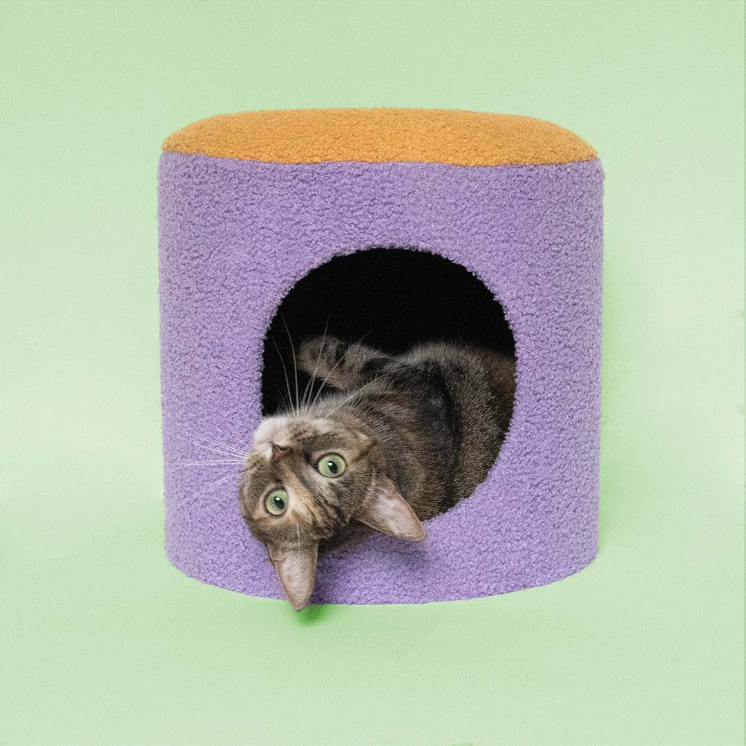 Coockoo Happy House - kissan pesä, violetti