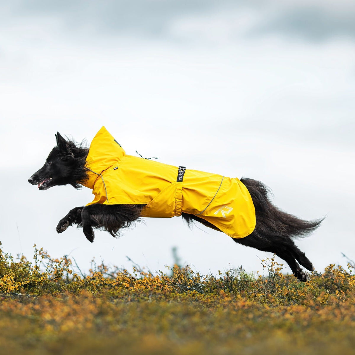 Rukka Pets Hayton - sadetakki, keltainen