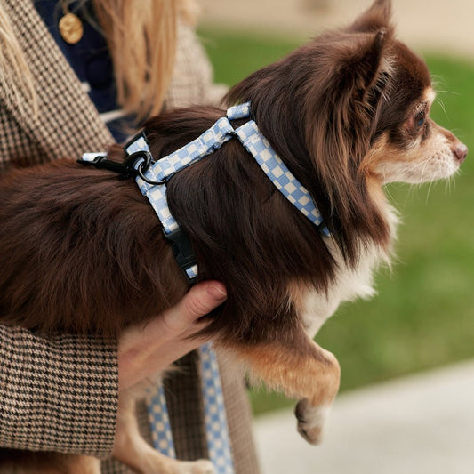 CAFIDE Juno - kierrätetty PET valjaat, Vichy Blue
