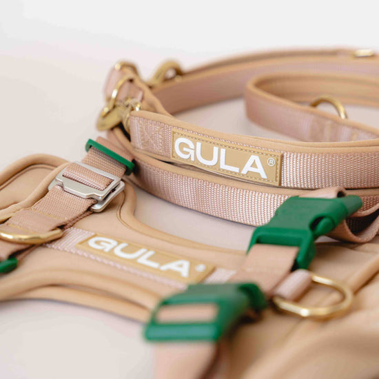 GULA DOG CARE Koiran talutin, beige