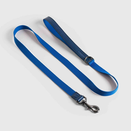 Masimalo Koiran talutin, navy - grandala blue