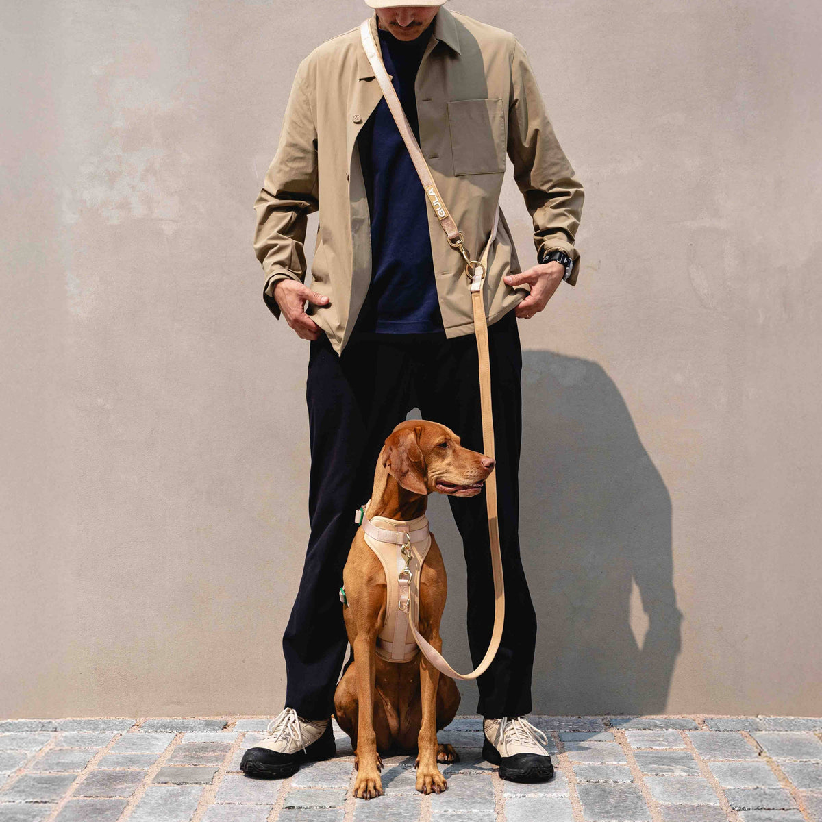 GULA DOG CARE Koiran valjaat, beige & vihreä