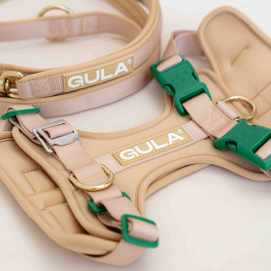 GULA DOG CARE Koiran valjaat, beige & vihreä