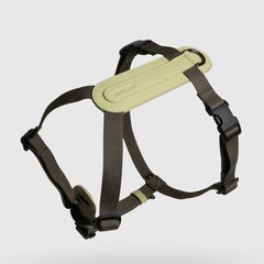 Arch harness, light sage-khaki