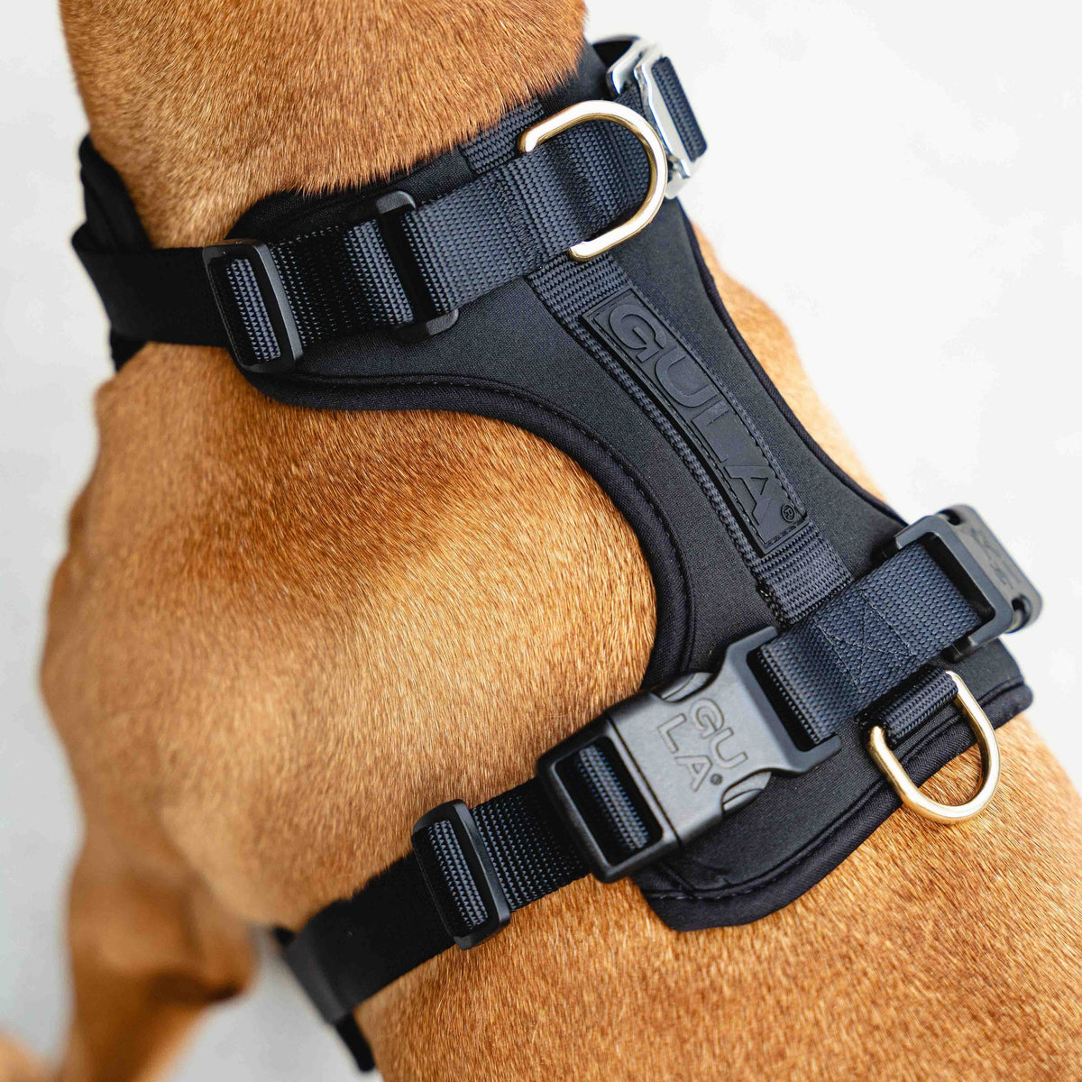 GULA DOG CARE Koiran valjaat, musta