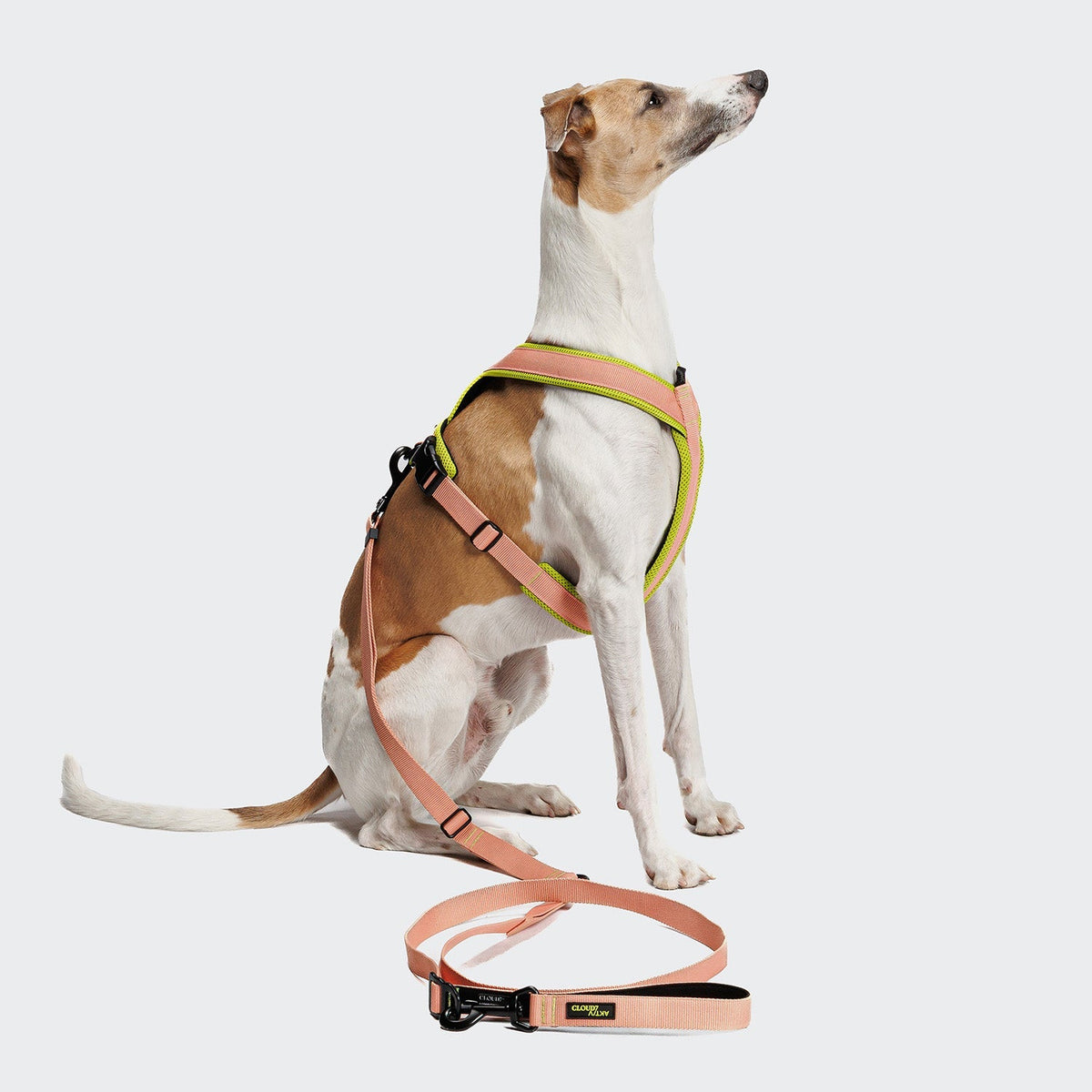 CLOUD7 L - 1 AKTIV Hands - Free talutin, persikka