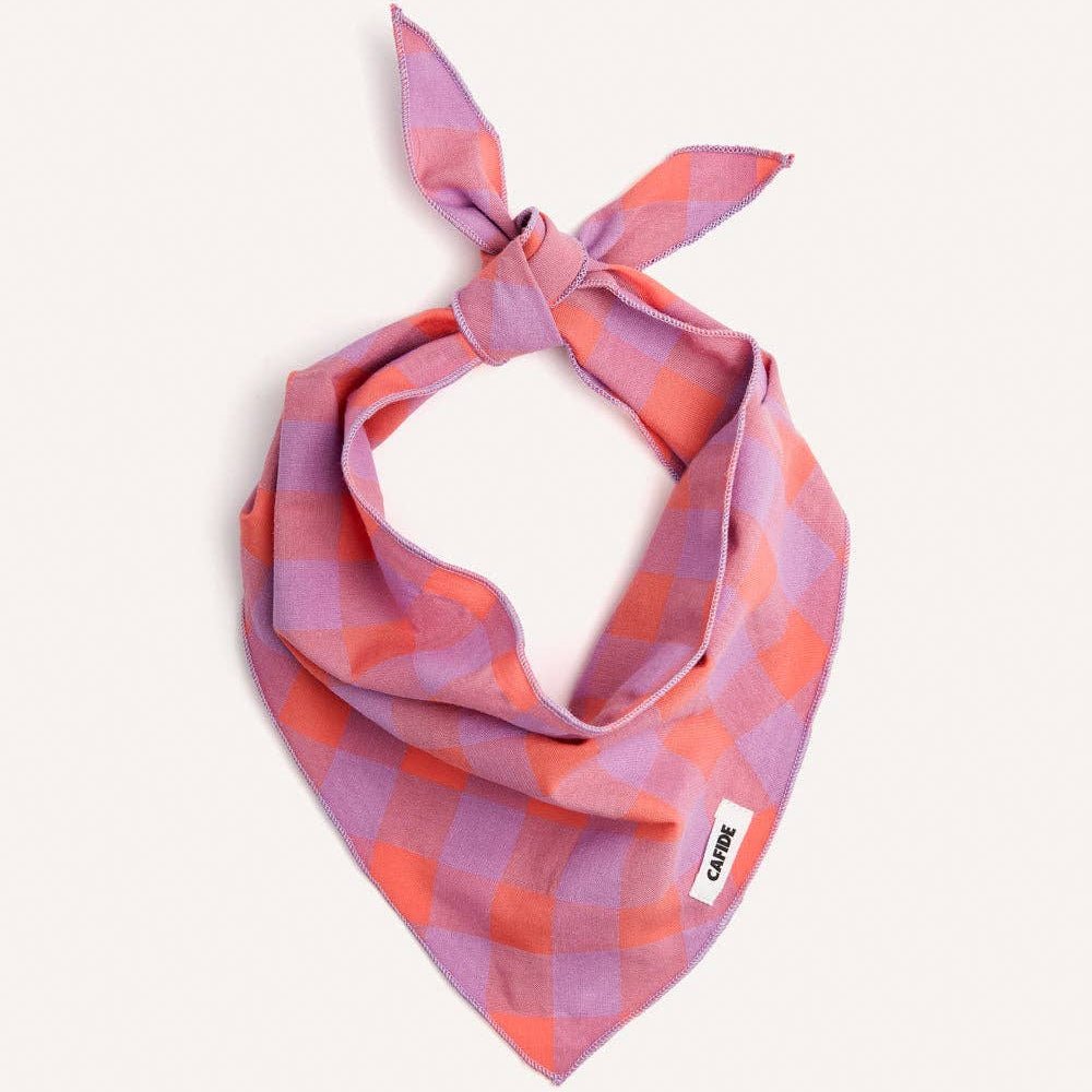 CAFIDE Nata - koiran bandana, violetti ruutu