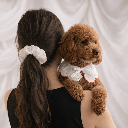 CAFIDE Noa - scrunchie, valkoinen