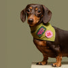 Scout's Honour Partiohuivi lemmikille, olive green