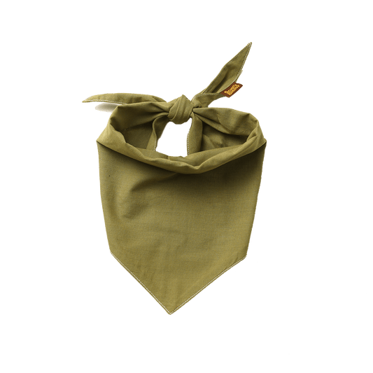 Scout's Honour Partiohuivi lemmikille, olive green
