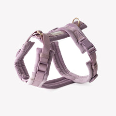 Padded Harness, Lilac