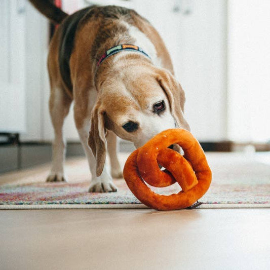 P.L.A.Y. Poochie Pretzel - koiran lelu