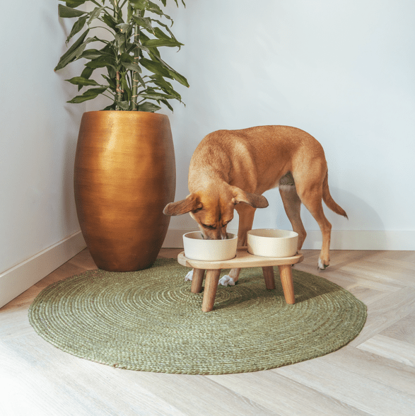 AVA bowls Puinen ruokakuppiteline