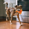 P.L.A.Y. Puppy - roni Pizza - koiran lelu