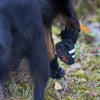 Rukka Pets Step - koiran kengät, 4 kpl