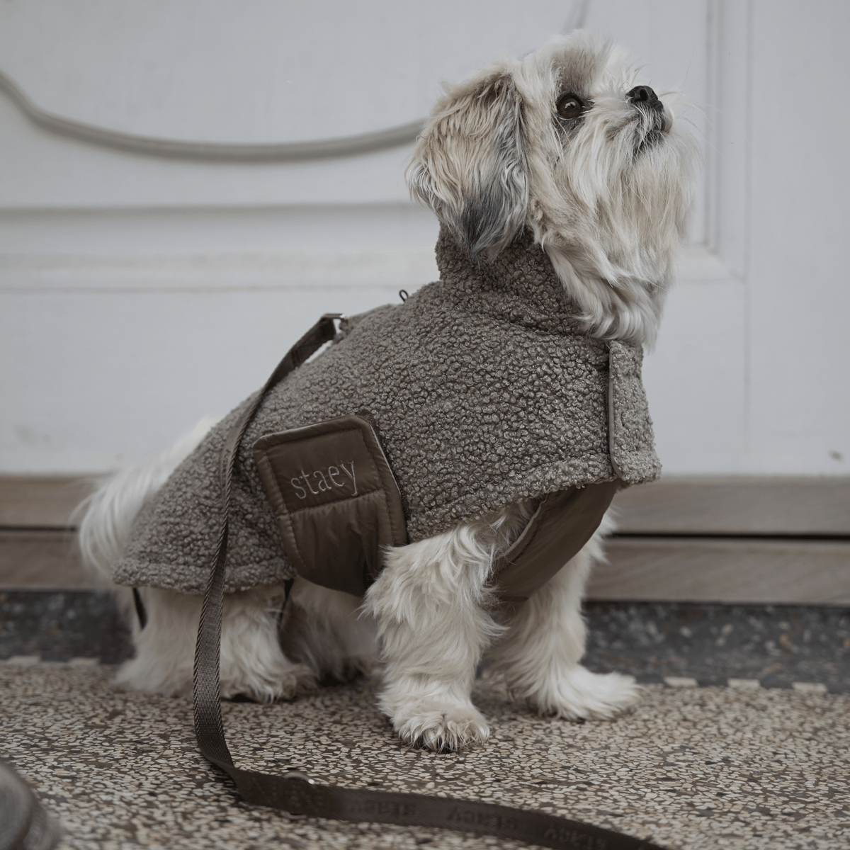 Staey Teddy - koiran välikausitakki, taupe