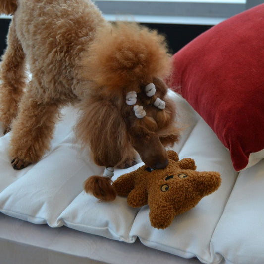 Rukka Pets Teddy Toy - vinkuva pehmokaveri