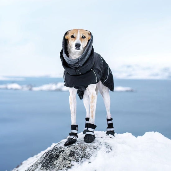 Rukka Pets Warmup 2.0 - talvitakki, musta