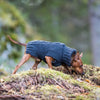 Rukka Pets Wooly - neulepuseo, antrasiitti