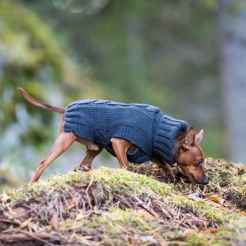 Rukka Pets Wooly - neulepuseo, antrasiitti